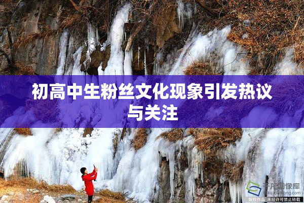 初高中生粉丝文化现象引发热议与关注