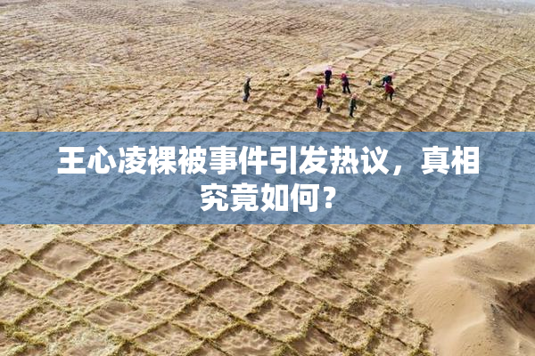 王心凌裸被事件引发热议，真相究竟如何？