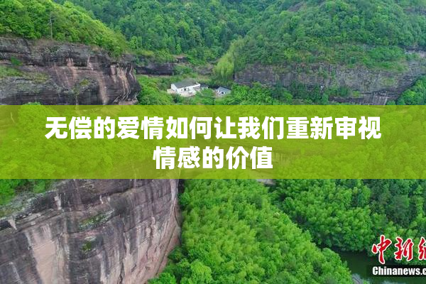 无偿的爱情如何让我们重新审视情感的价值