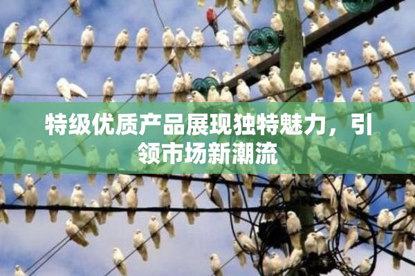 特级优质产品展现独特魅力，引领市场新潮流