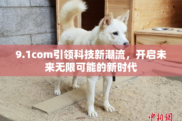 9.1com引领科技新潮流，开启未来无限可能的新时代