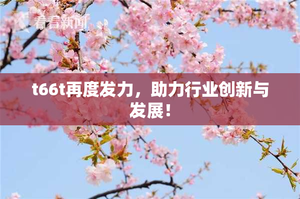 t66t再度发力，助力行业创新与发展！