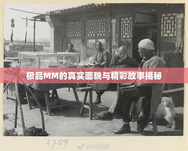 极品MM的真实面貌与精彩故事揭秘
