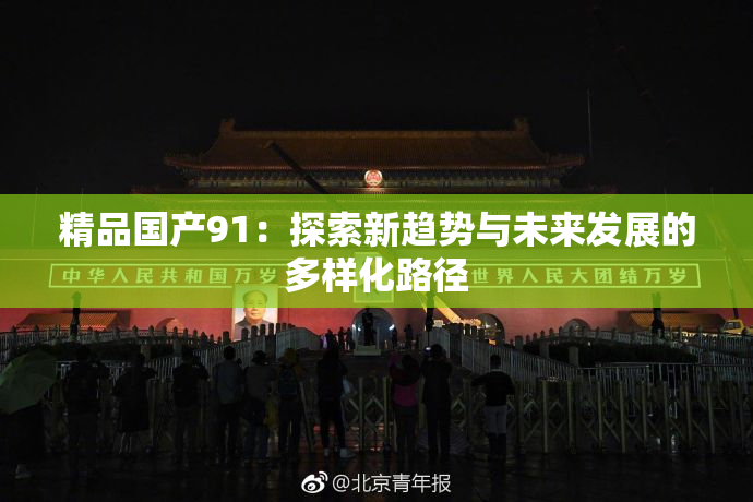 精品国产91：探索新趋势与未来发展的多样化路径