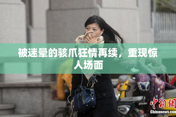 被迷晕的骇爪狂情再续，重现惊人场面