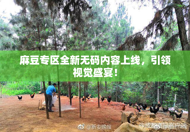 麻豆专区全新无码内容上线，引领视觉盛宴！
