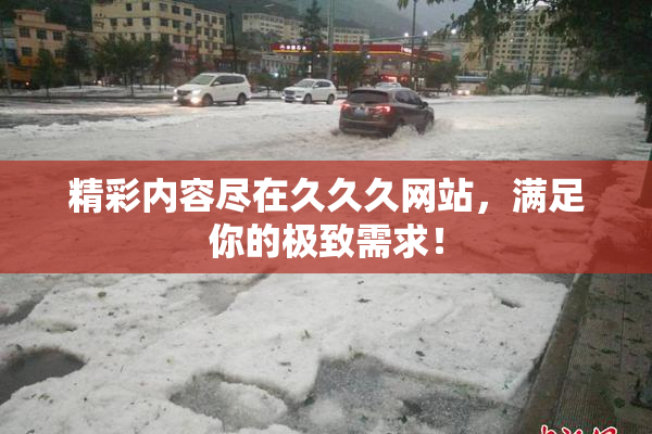 精彩内容尽在久久久网站，满足你的极致需求！
