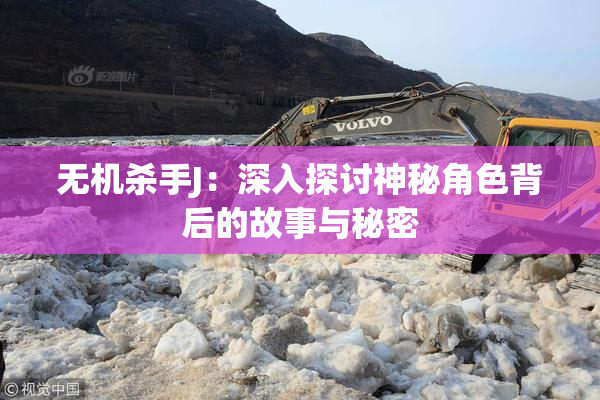 无机杀手J：深入探讨神秘角色背后的故事与秘密
