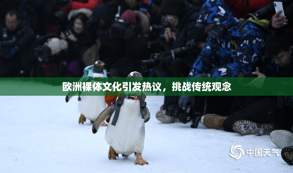 欧洲裸体文化引发热议，挑战传统观念