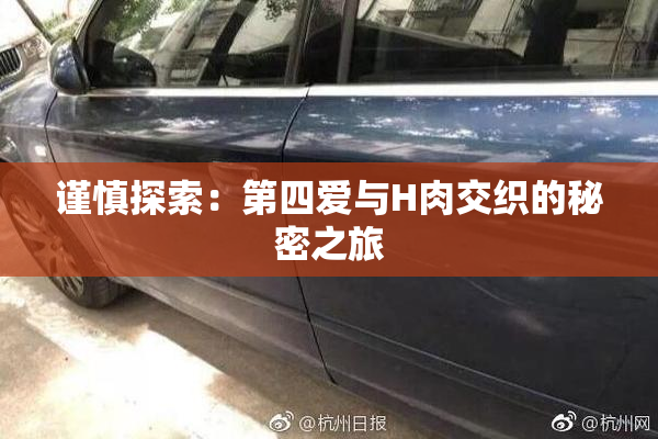 谨慎探索：第四爱与H肉交织的秘密之旅