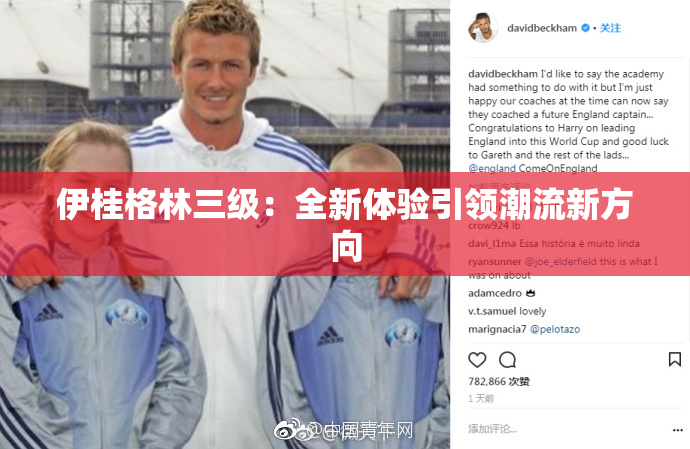 伊桂格林三级：全新体验引领潮流新方向