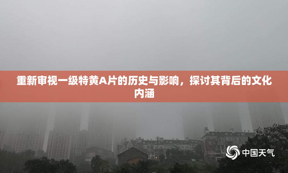 重新审视一级特黄A片的历史与影响，探讨其背后的文化内涵