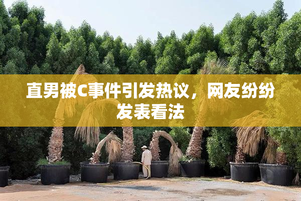 直男被C事件引发热议，网友纷纷发表看法