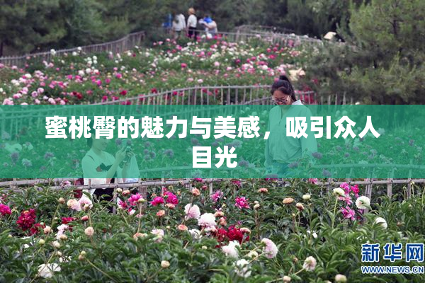 蜜桃臀的魅力与美感，吸引众人目光