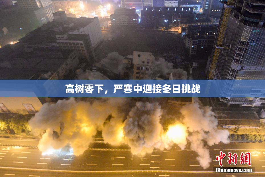 高树零下，严寒中迎接冬日挑战