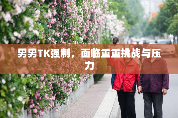 男男TK强制，面临重重挑战与压力