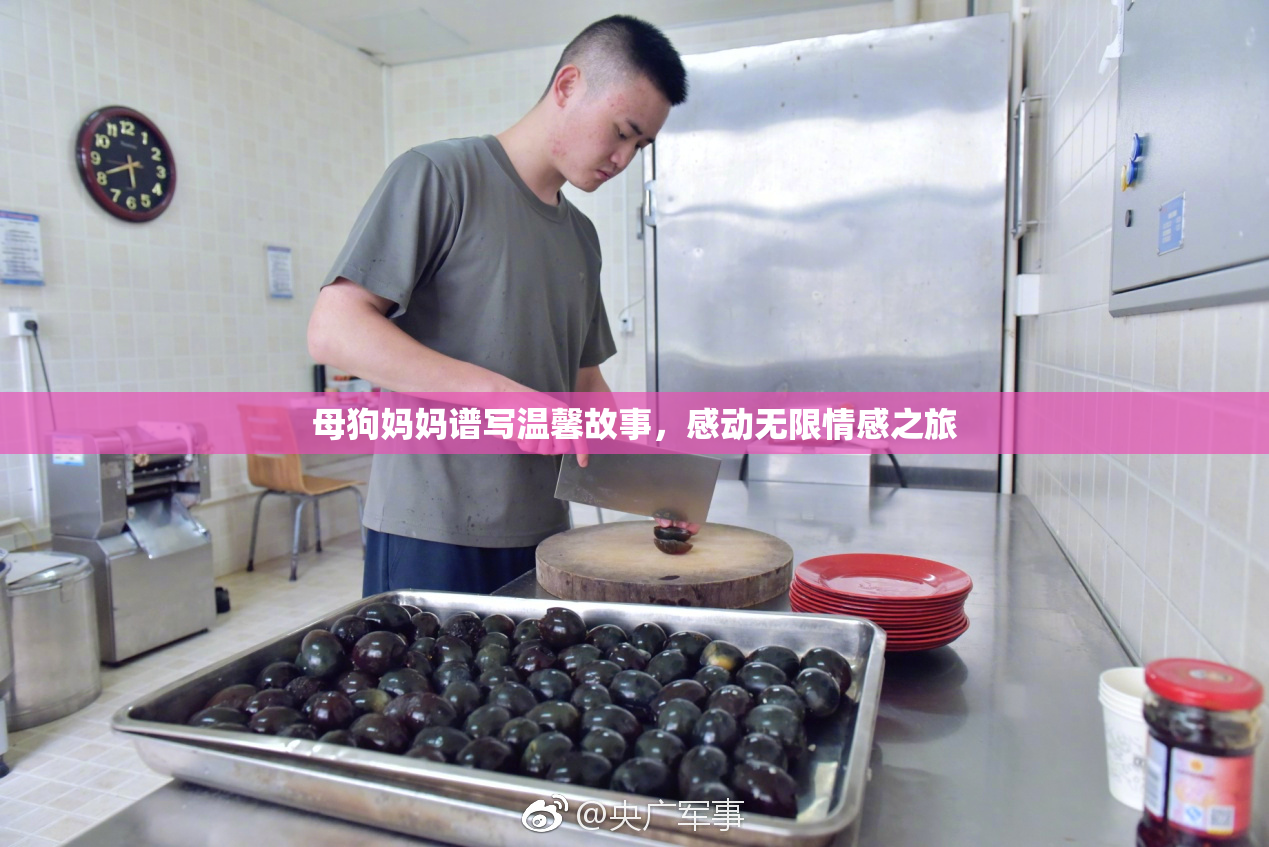 母狗妈妈谱写温馨故事，感动无限情感之旅
