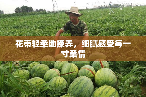花蒂轻柔地揉弄，细腻感受每一寸柔情