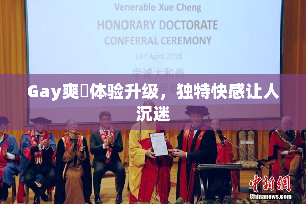 Gay爽擼体验升级，独特快感让人沉迷
