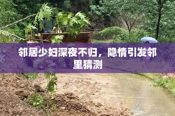 邻居少妇深夜不归，隐情引发邻里猜测