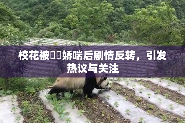 校花被❌‌娇喘后剧情反转，引发热议与关注