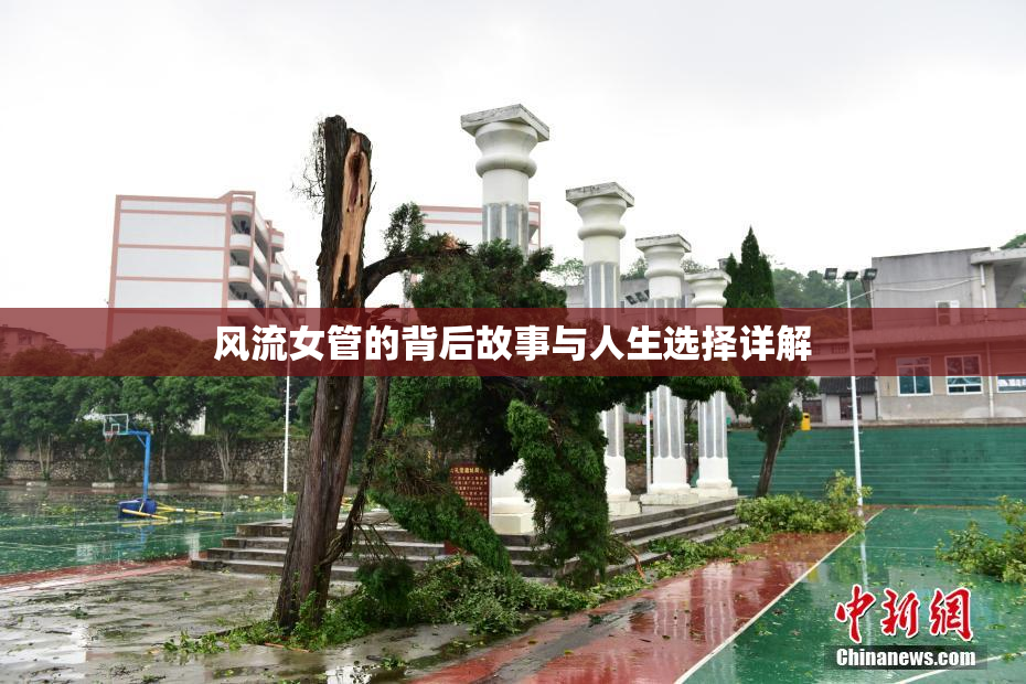 风流女管的背后故事与人生选择详解