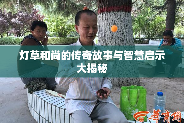 灯草和尚的传奇故事与智慧启示大揭秘