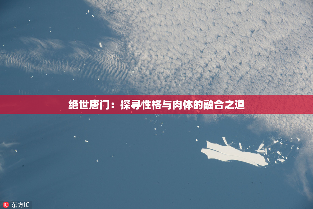 绝世唐门：探寻性格与肉体的融合之道
