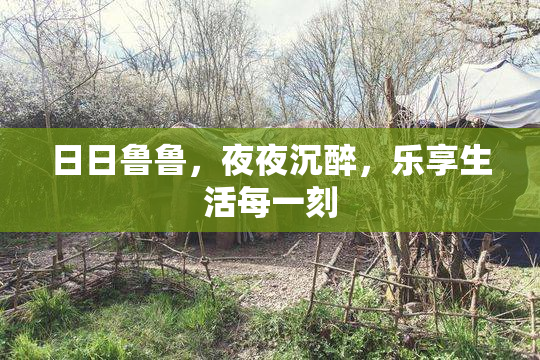 日日鲁鲁，夜夜沉醉，乐享生活每一刻