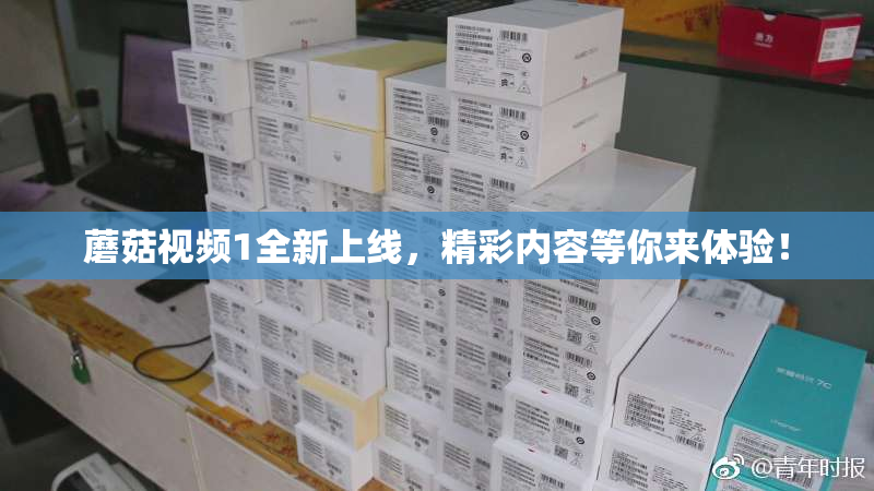 蘑菇视频1全新上线，精彩内容等你来体验！