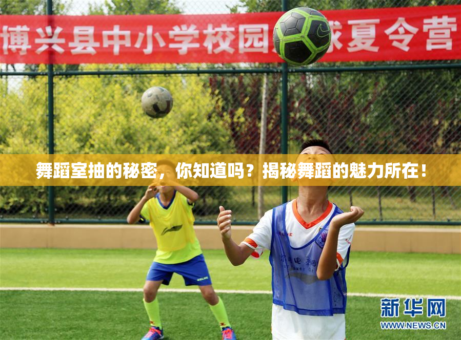 舞蹈室抽的秘密，你知道吗？揭秘舞蹈的魅力所在！
