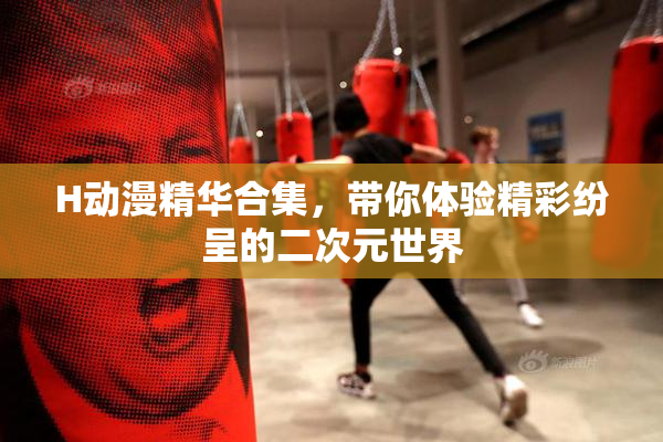 H动漫精华合集，带你体验精彩纷呈的二次元世界