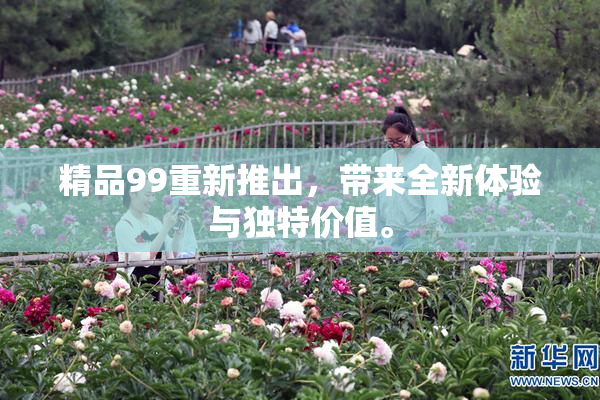 精品99重新推出，带来全新体验与独特价值。
