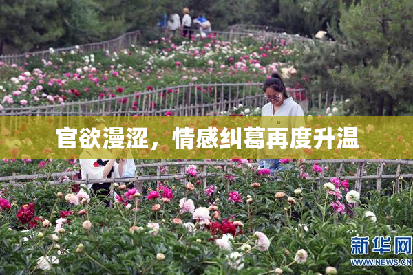 官欲漫涩，情感纠葛再度升温