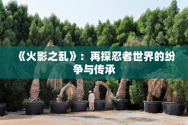 《火影之乱》：再探忍者世界的纷争与传承