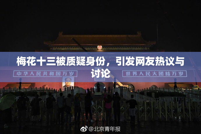 梅花十三被质疑身份，引发网友热议与讨论