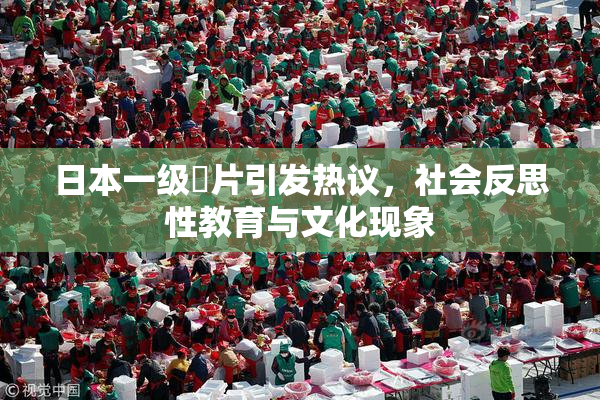 日本一级婬片引发热议，社会反思性教育与文化现象