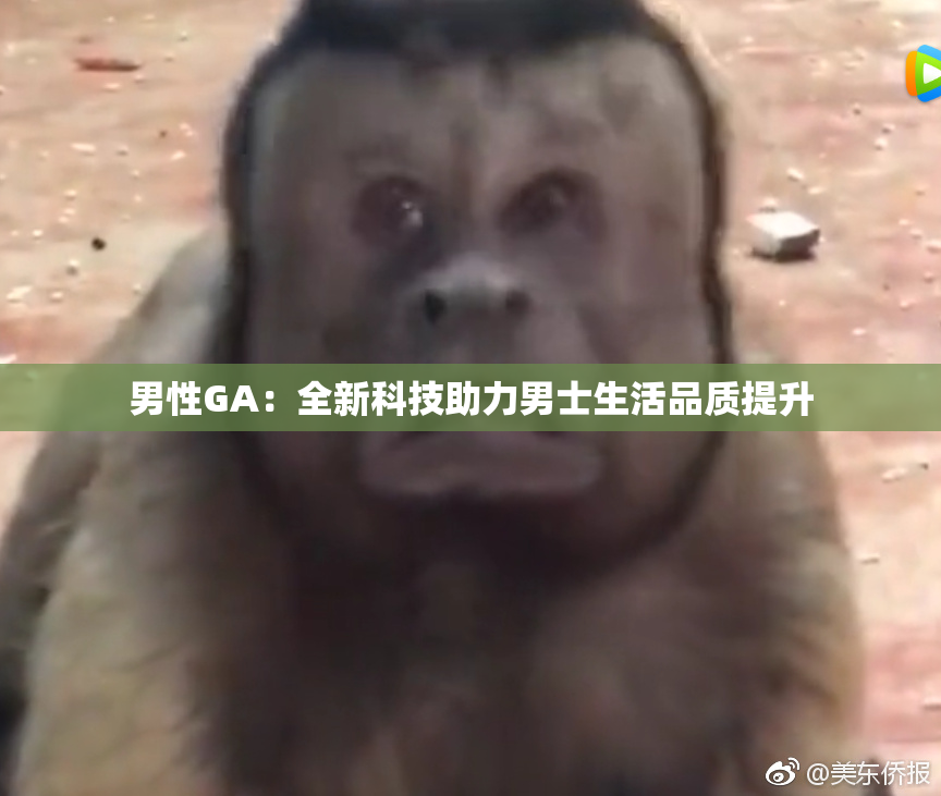 男性GA：全新科技助力男士生活品质提升