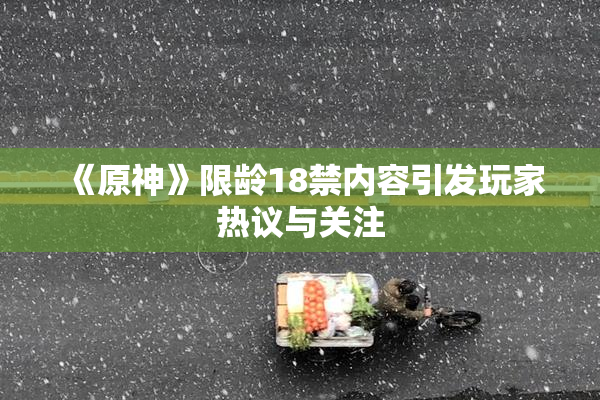 《原神》限龄18禁内容引发玩家热议与关注