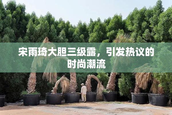 宋雨琦大胆三级露，引发热议的时尚潮流