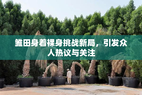 雏田身着裸身挑战新局，引发众人热议与关注