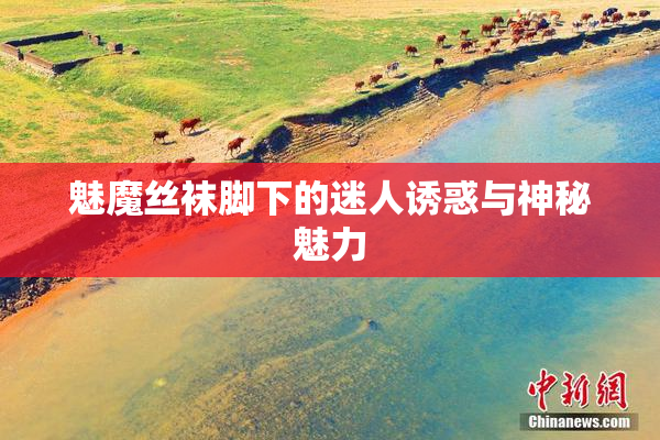 魅魔丝袜脚下的迷人诱惑与神秘魅力