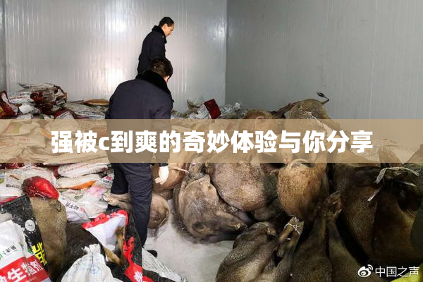 强被c到爽的奇妙体验与你分享