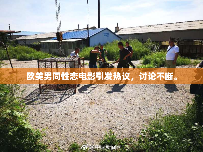 欧美男同性恋电影引发热议，讨论不断。