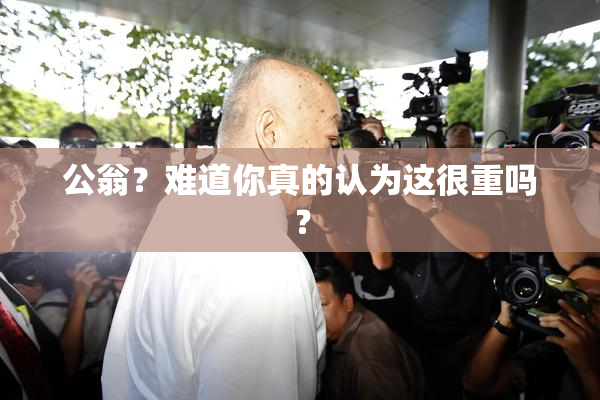 公翁？难道你真的认为这很重吗？