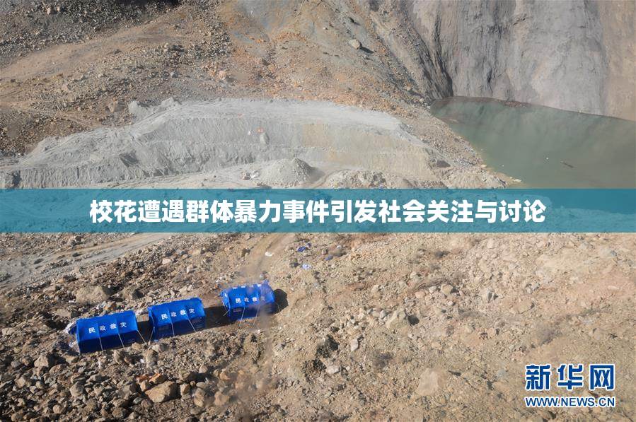 校花遭遇群体暴力事件引发社会关注与讨论