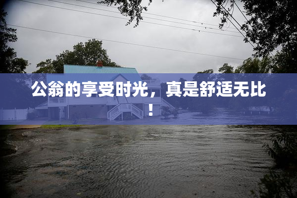 公翁的享受时光，真是舒适无比！