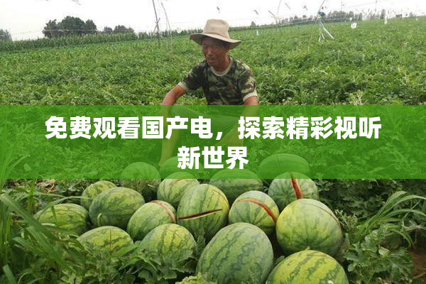 免费观看国产电，探索精彩视听新世界