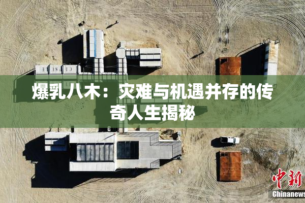 爆乳八木：灾难与机遇并存的传奇人生揭秘