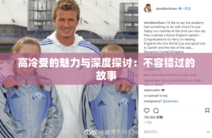 高冷受的魅力与深度探讨：不容错过的故事